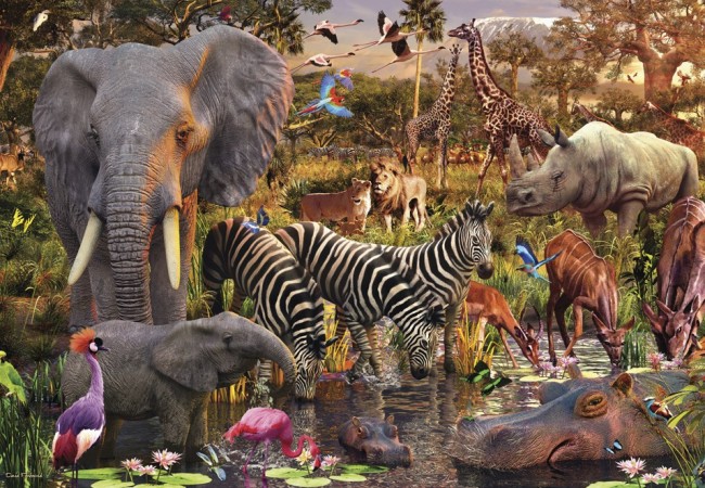 6 Common Expressions: Animals