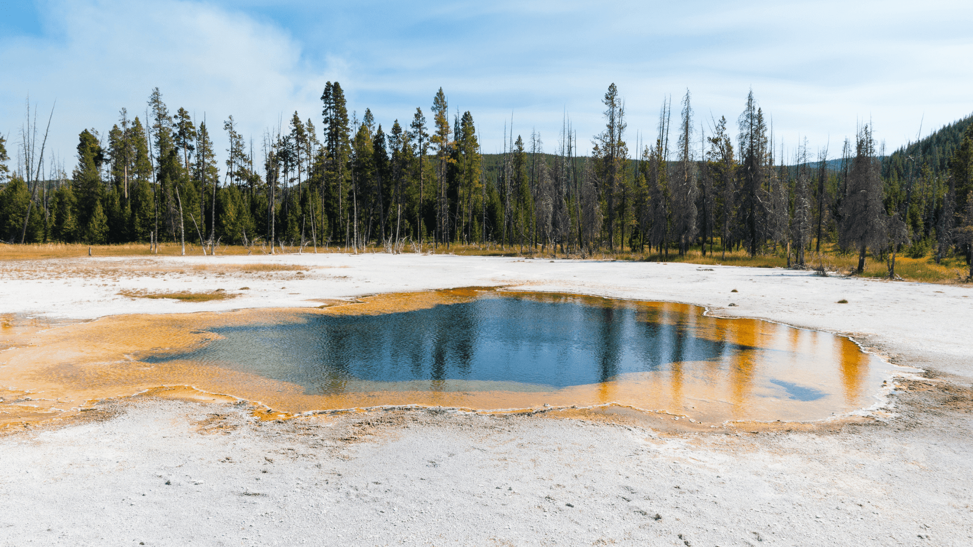 Yellowstone: el origen del paradigma de los parques nacionales