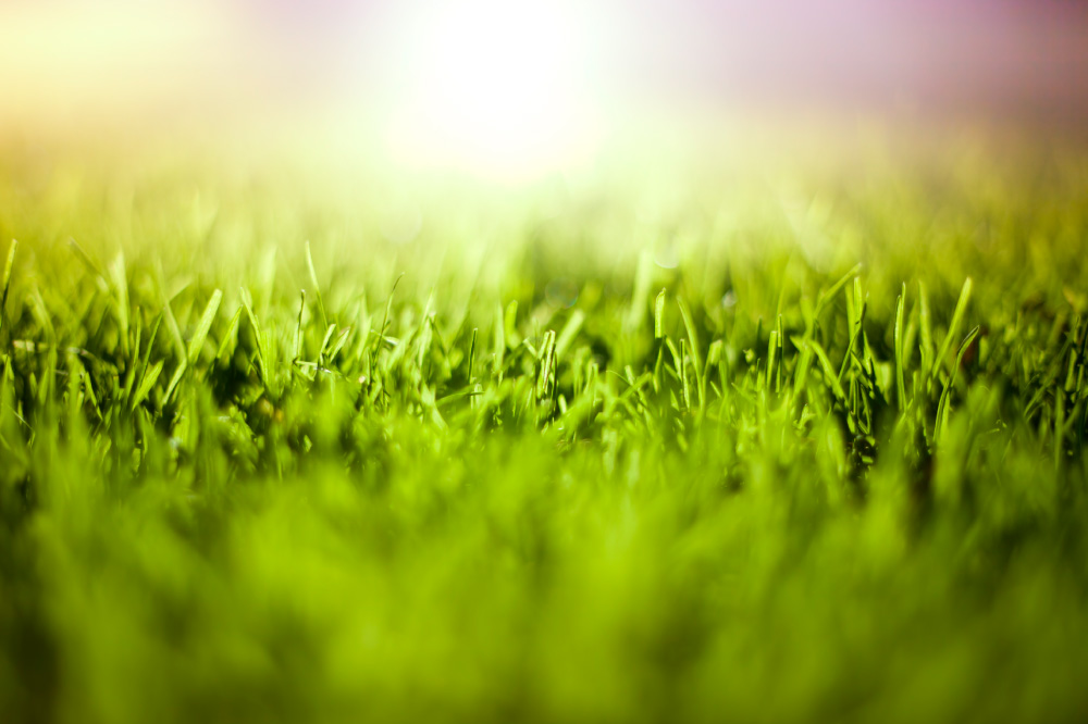 Saint Patrick´s Day: todo lo que debes saber