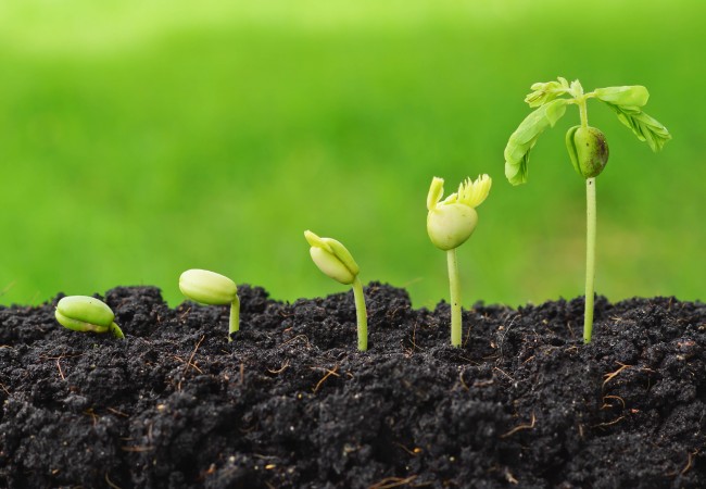 Summer English 3: At a summer party